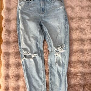 American Eagle Outfitters Womens AE Size 2 Short Strigid Curvy Rolled Mom Jeans